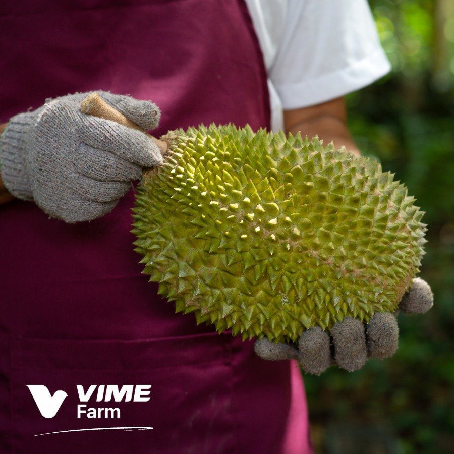 VIME Farm • Giải nháp vườn sinh thái toàn diện